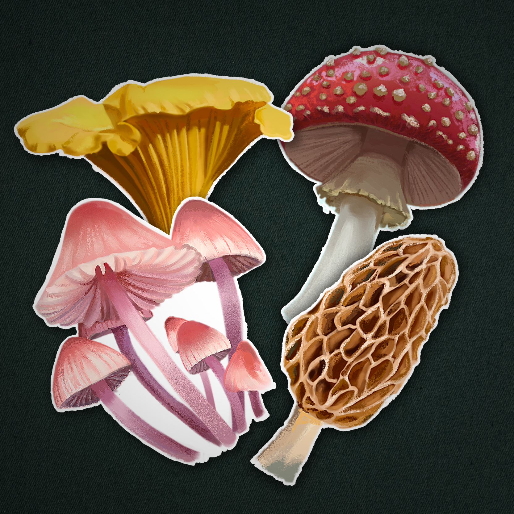 My Shop thumbnail