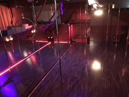 Sedusa Spring Showcase thumbnail