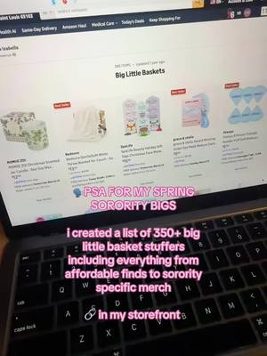 Big Little Basket Stuffers🧺🎀 #sorority #biglittlereveal #biglittlebasketideas 