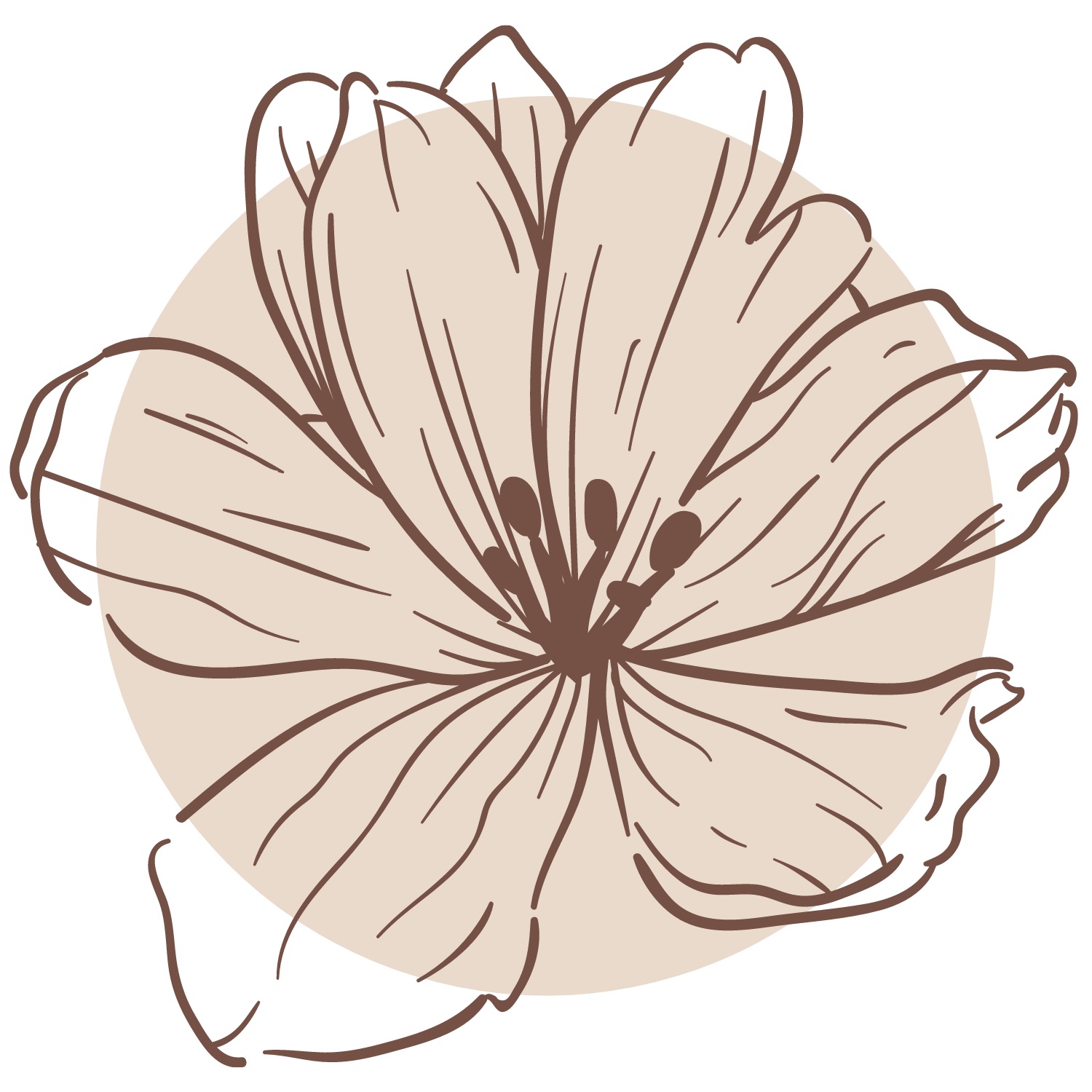 Learn More at NourishedPostpartum.com thumbnail