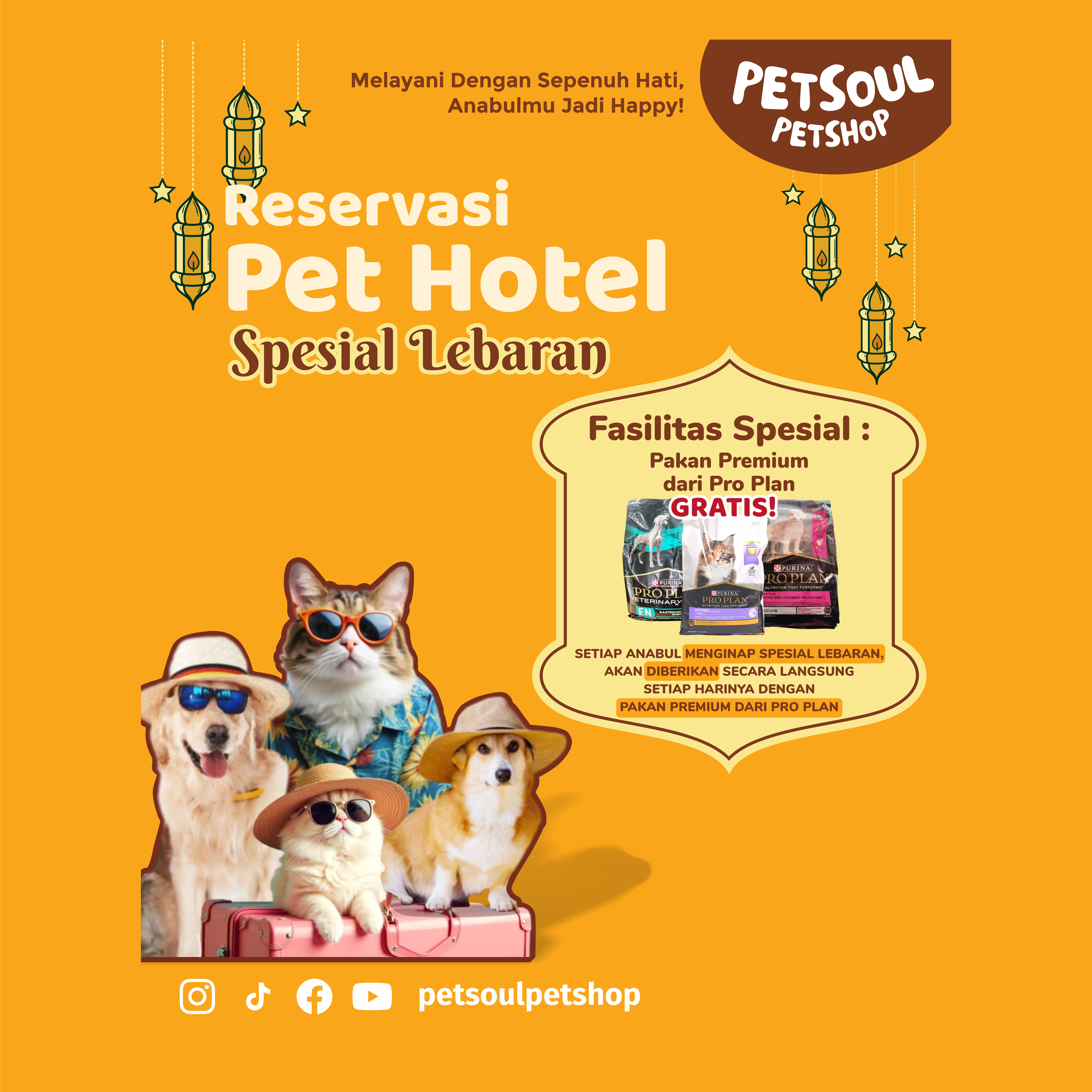 Reservasi Pet Hotel Spesial Lebaran thumbnail