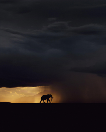 Kenya Expedition Nov 2026 thumbnail