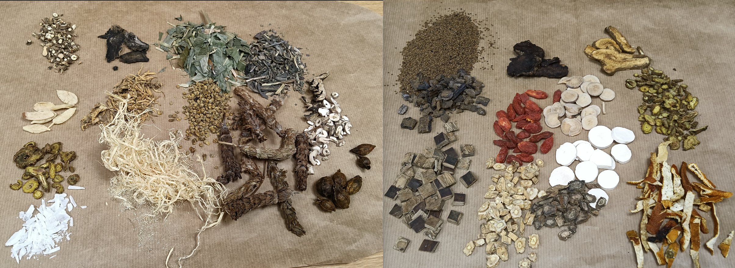 Flow with nature workshop thumbnail