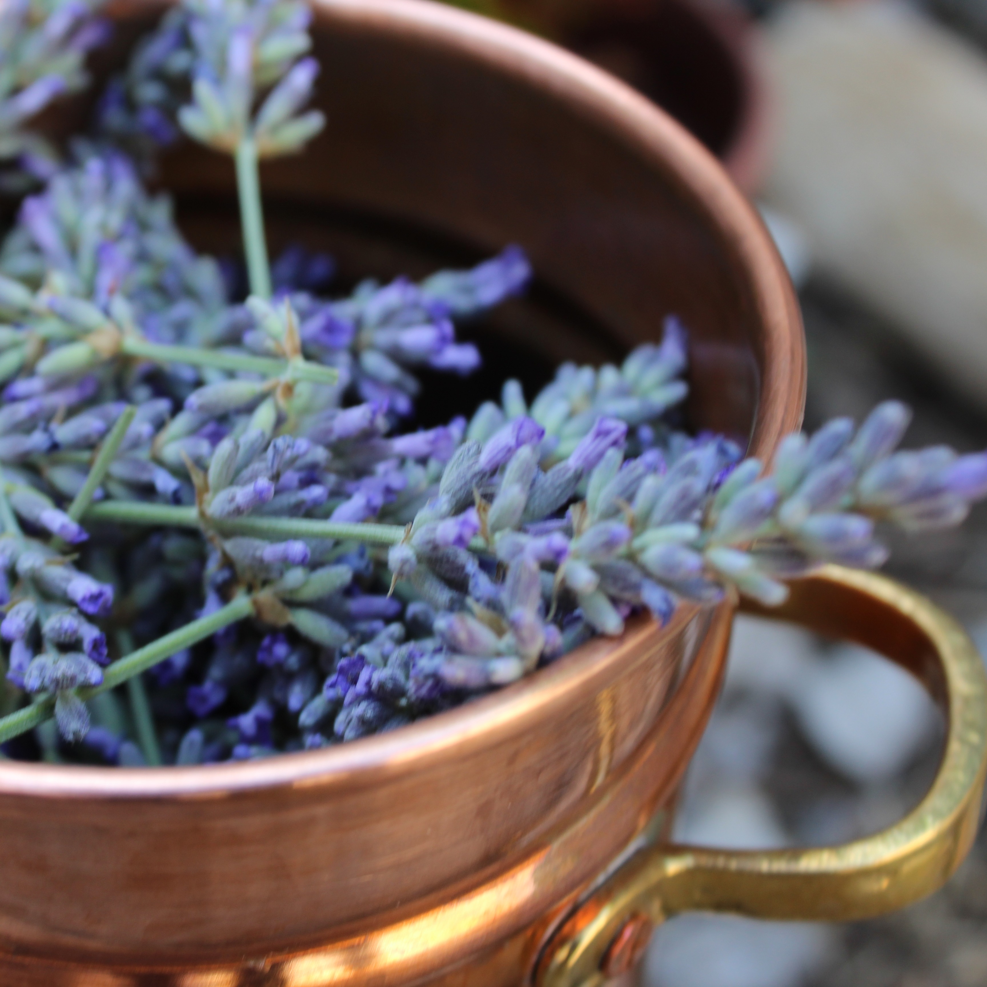 Nacimiento de AROMATERRA thumbnail