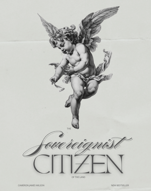 Sovereignist Citizen of the Land (Paperback) thumbnail