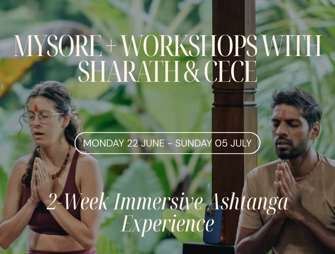 2-Week Immersive Ashtanga Experience  thumbnail