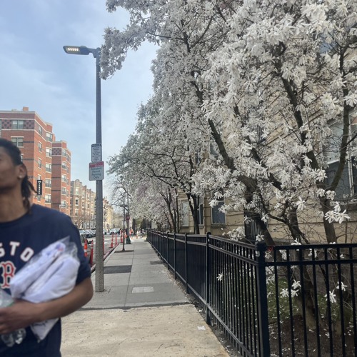 SoundCloud 🧡 | Joseph Seymour  thumbnail