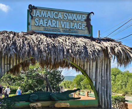 Jamaica Swamp Safari thumbnail