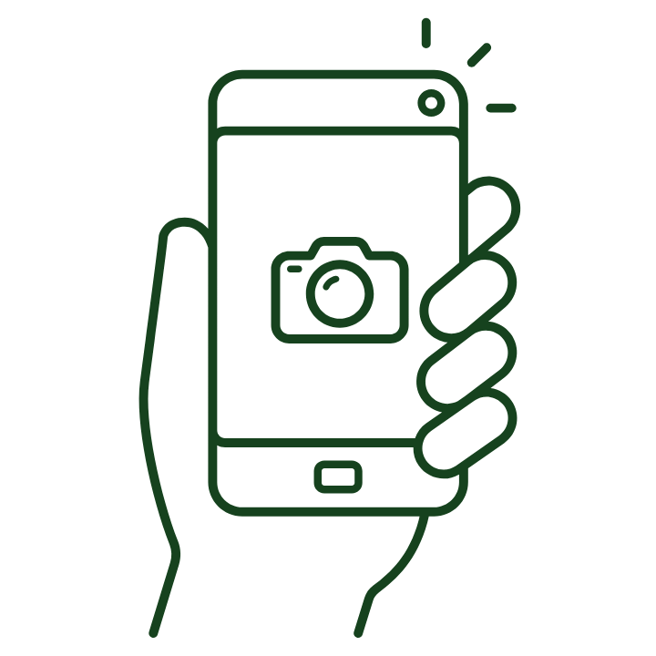 Mindful Smartphone Safaris thumbnail
