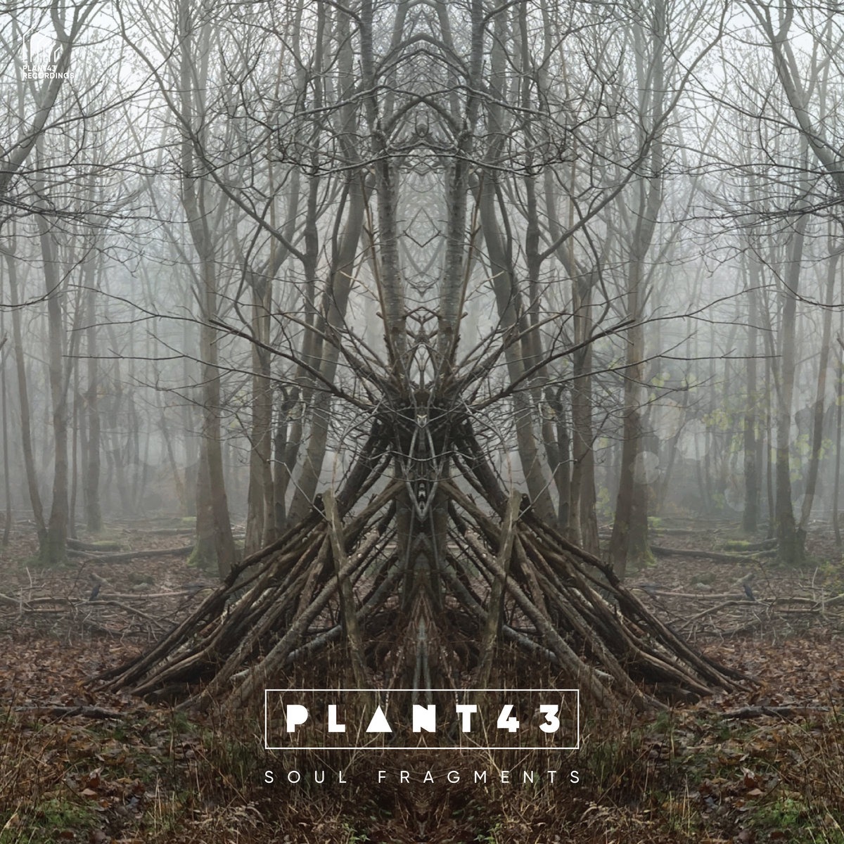 Plant43 (2022) thumbnail