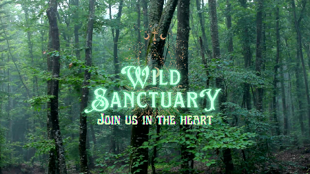 Wild Sanctuary — Elk Rock Yoga thumbnail