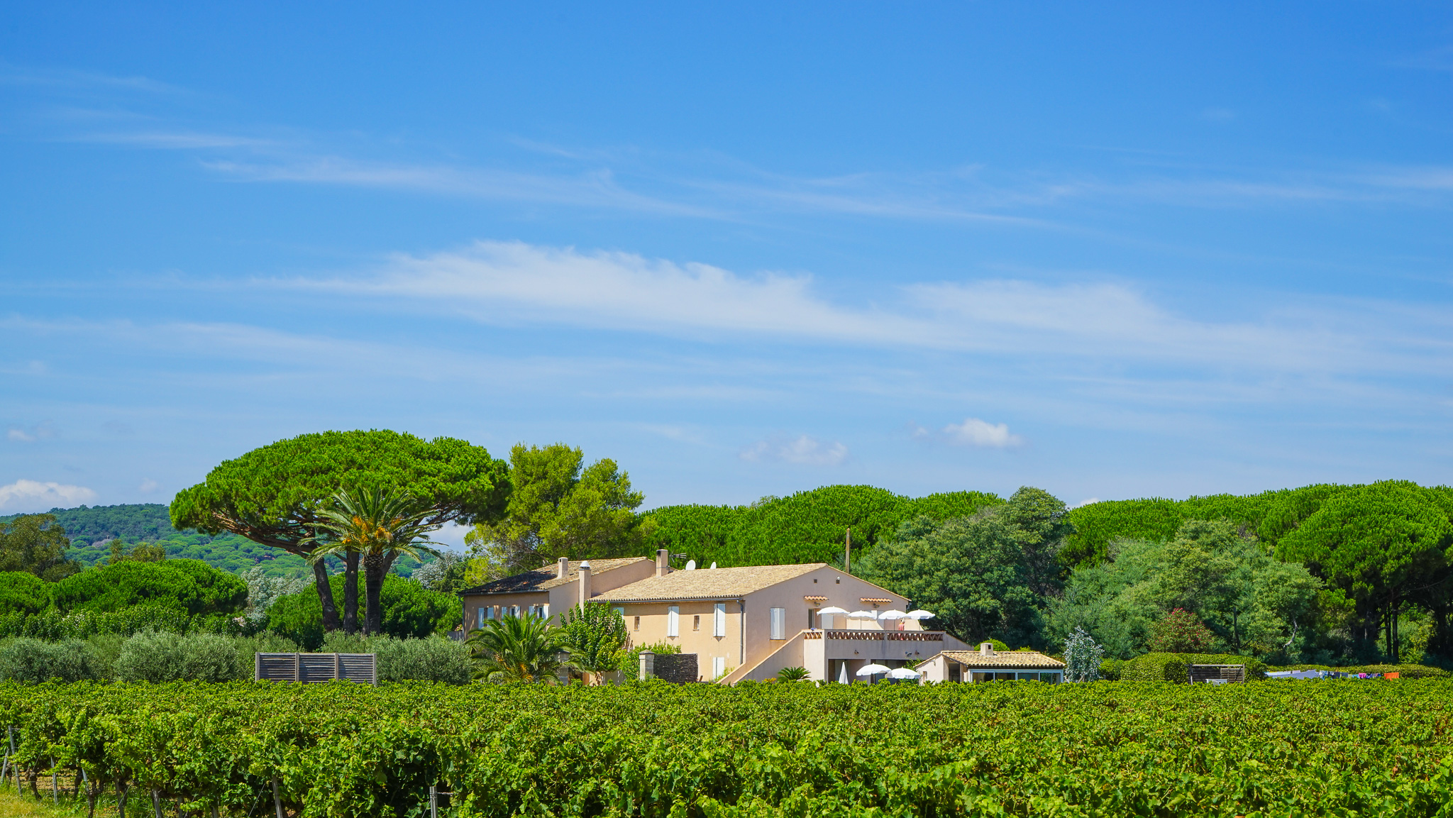 The Legendary Bay of Pampelonne | Day 1, 2 & 3 | Saturday - Monday | Wineries and vines near the beach thumbnail