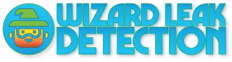 Wizard Leak Detection — Bio Site