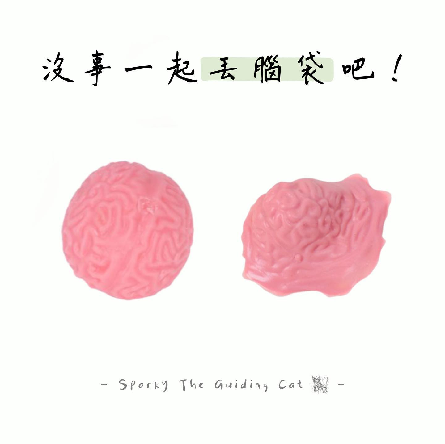 ：

#沒事的話先一起丟腦袋吧！

所有 #你討厭的人，腦袋 #都在我們這！

我們有兩款笨腦袋：
1. 腦子裝漿糊：較慢回彈，揉捏手感比進水款好，適合輕度焦慮。

2. 腦子進水款：較快回彈，適合拋摔出去，腦子會癱成一片，適合中度焦慮。
