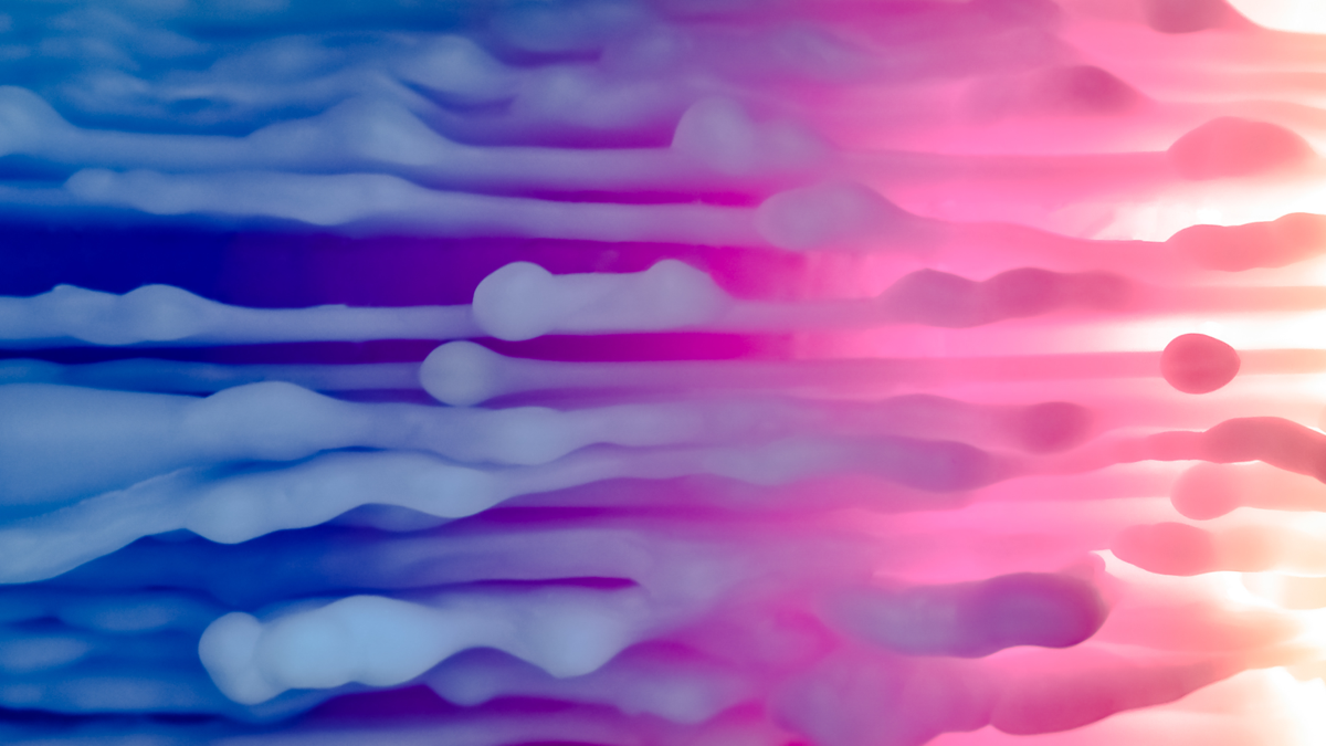 BioSite banner for @neil
