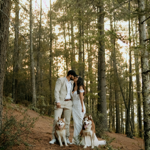 Trash the dress  thumbnail