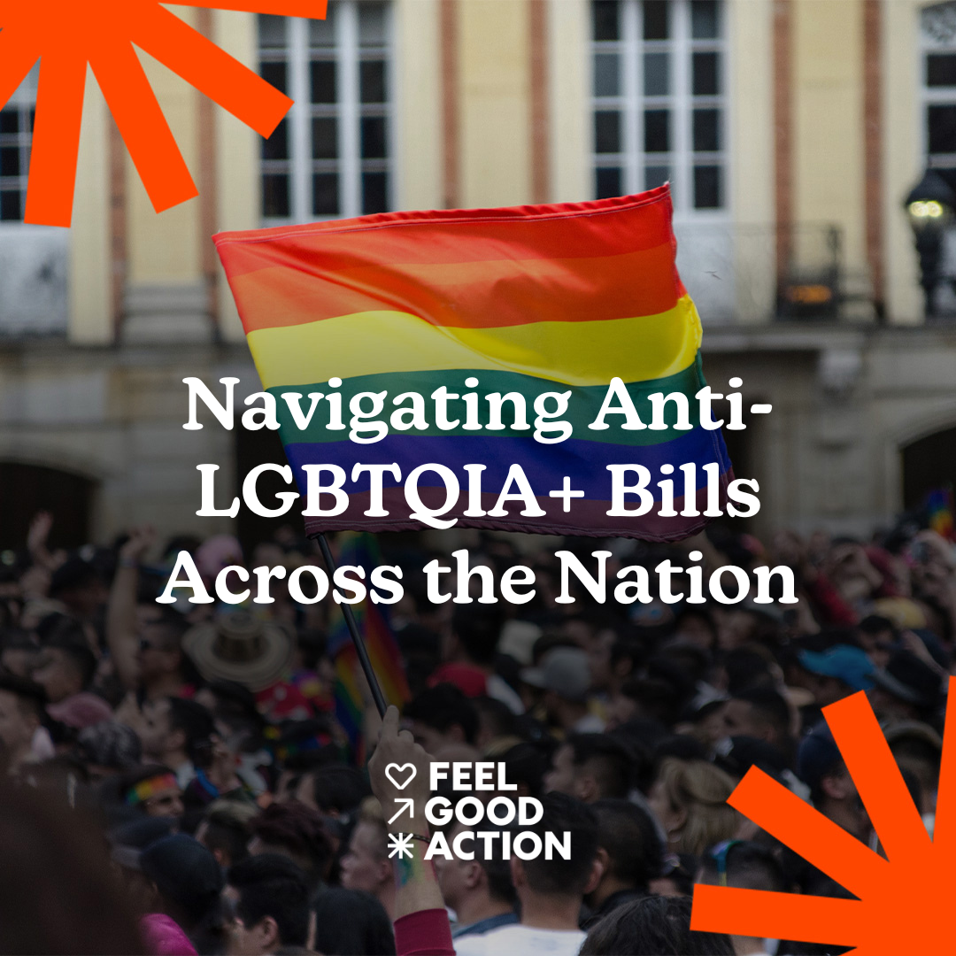 Navigating Anti-LGBTQIA+ Bills Across the Nation — Feel Good Action thumbnail