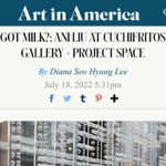 Art in America review thumbnail
