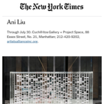 NYTimes review thumbnail