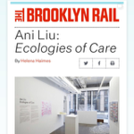 Brooklyn Rail review thumbnail