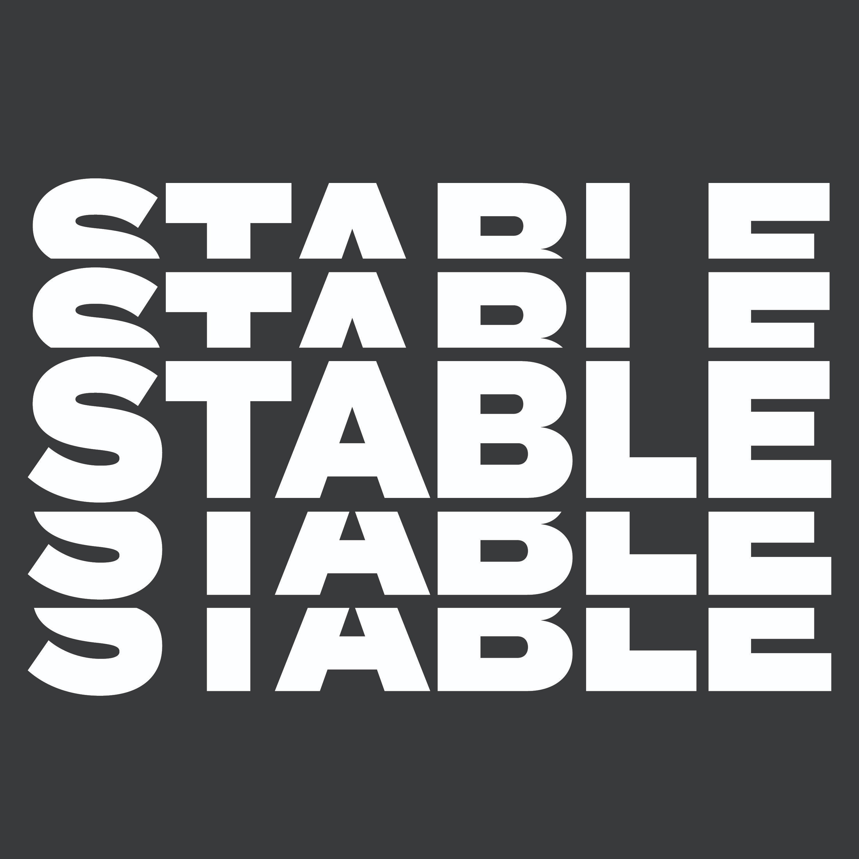 BioSite profile picture for @STABLE