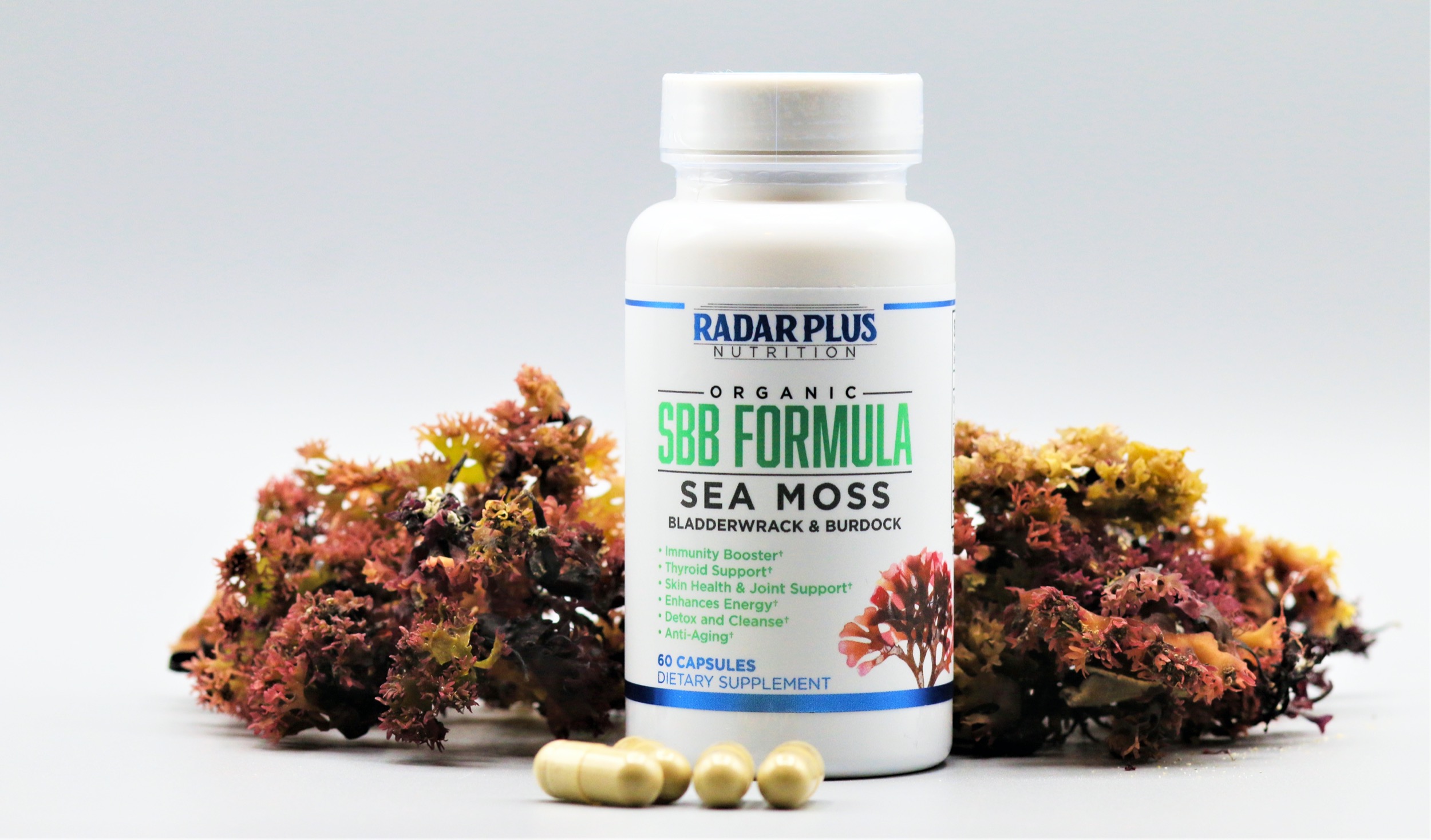 THE SBB FORMULA thumbnail