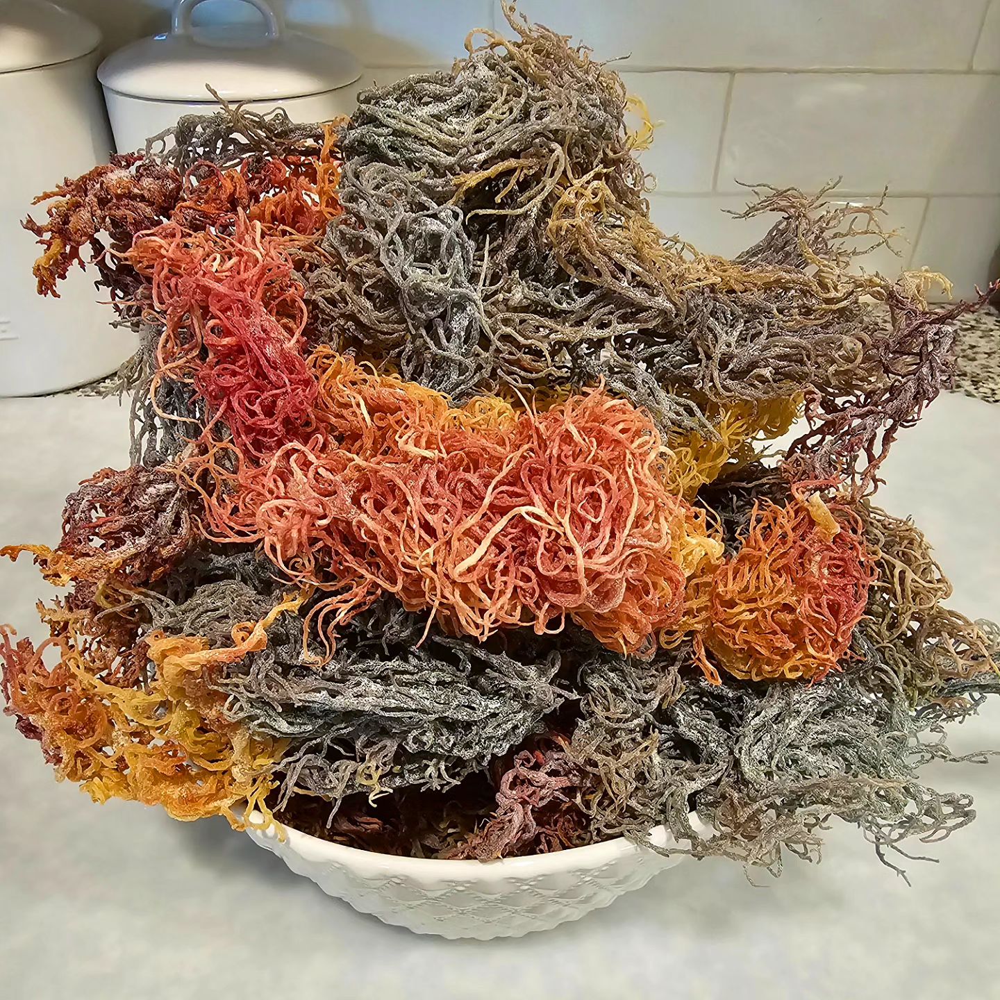 Beautiful full spectrum sea moss is now available on the website. Loaded with 92 minerals including zinc, magnesium, iro
