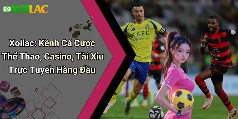 Xoilac: Kênh Cá Cược Thể Thao, Casino, Tài Xỉu Trực Tuyến Hàng Đầu thumbnail