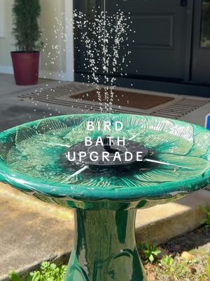 This solar fountain made my bird bath the prettiest fountain!! ⛲️🪿 #amazonfind#birdbath#garden#musthave#summerfind 