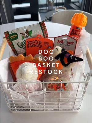 Let’s make a boo basket for my two best friends! 🎃🍂🐾 What would you add? ##boobasket#dogmom#dachshund#halloween#fallfind
