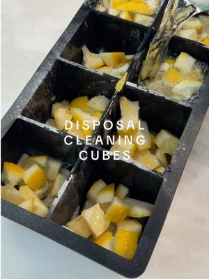 Let’s make DIY disposal cleaning cubes!! 🍋🧊 This cures any sink smell in seconds! #diy#lifehack#cleantok#asmr#restock 