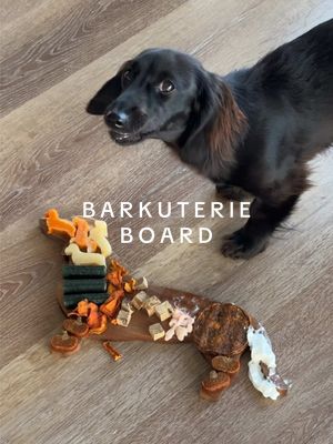 Let’s make a barkuterie board for my weenie!! 🐾🌭 He loveeees treat time ##dogmom#barkuterieboard#dachund#asmr#restock