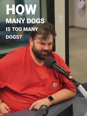 How many Dogs is too many Dogs and the out of context AI compilation nobody asked for . . . . . . #letsbefriends #radio