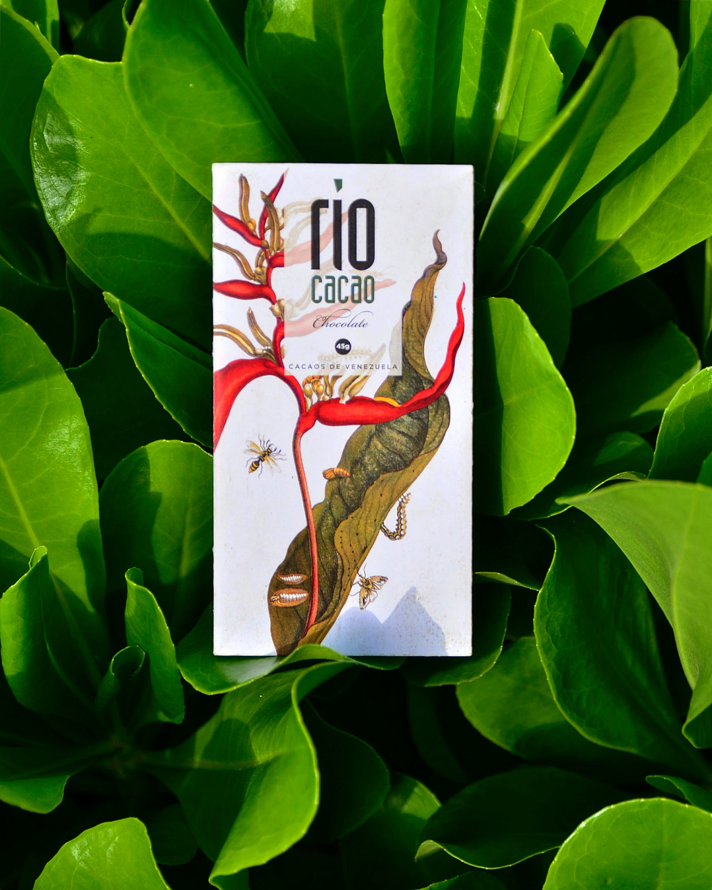 Rio Cacao Chocolates thumbnail
