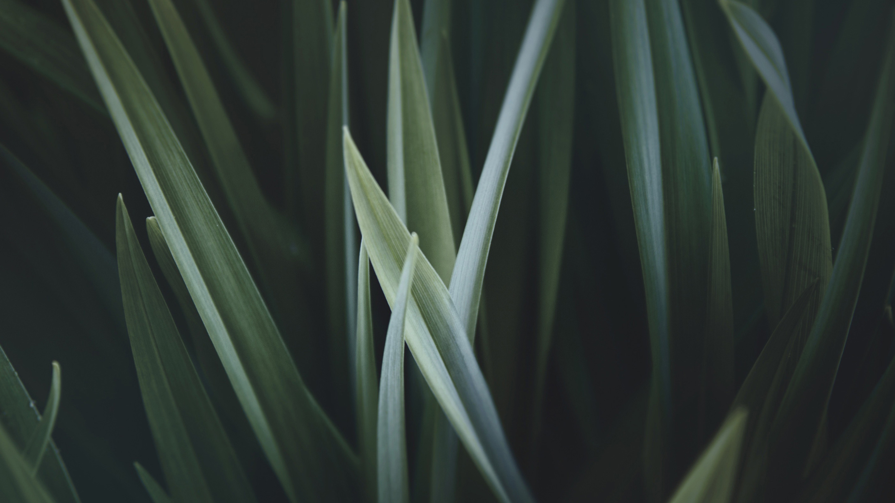 Energetic Healing Session | mindheartspace thumbnail