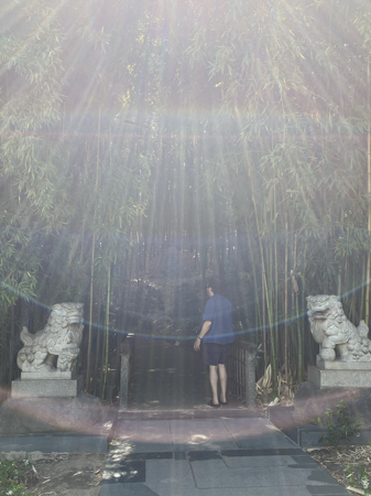 How to clear your field thumbnail