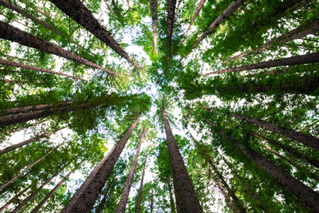 How to run your energy thumbnail