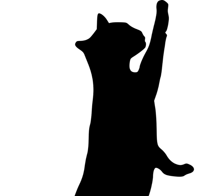Our Services thumbnail