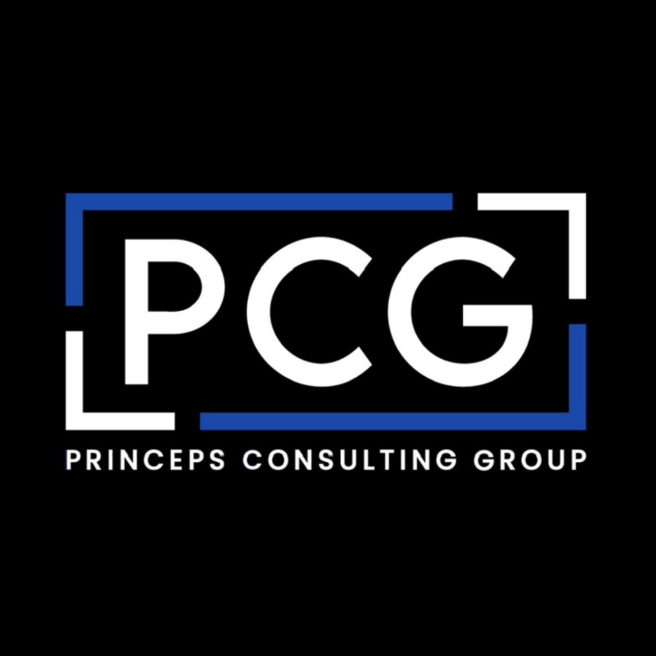 Princeps Consulting Group thumbnail
