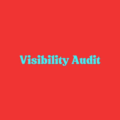 Visibility Audit thumbnail