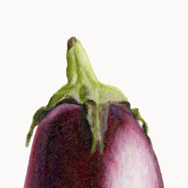 SUSTENANCE TABLE thumbnail