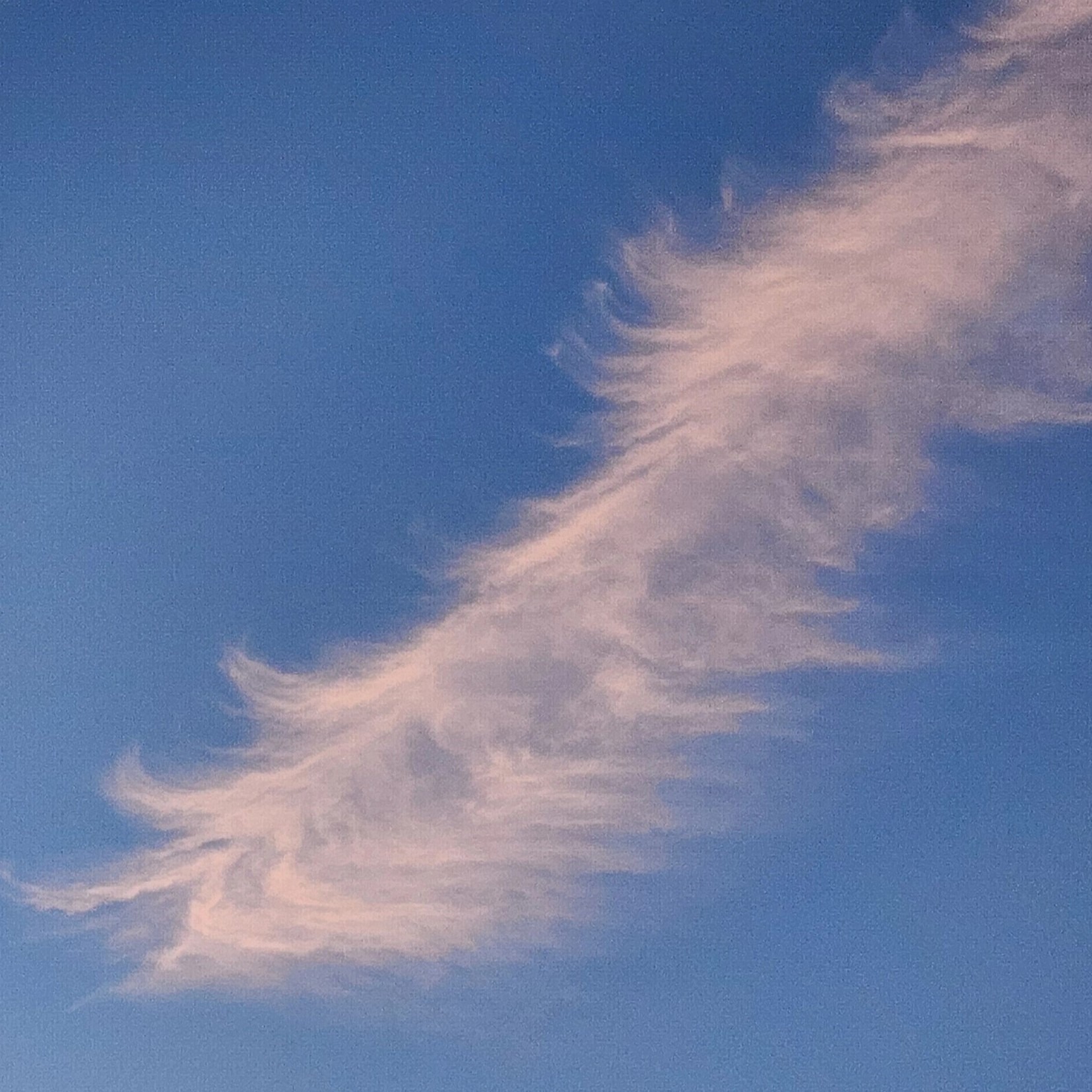 SIFTED & SORTED thumbnail