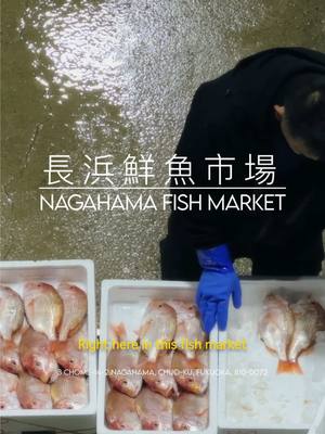You ever wonder where your sushi comes from? 🍣🎣  📍Nagahama Fish Market is Fukuoka’s largest commercial fish market. An o