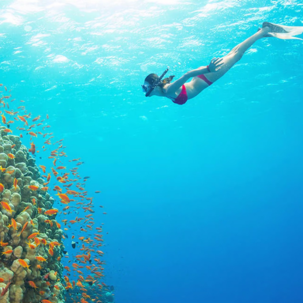Phu Quoc: Speed boat tour and snorkeling  thumbnail
