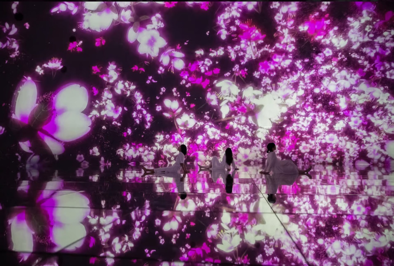 Tokyo: Team Lab planets entrance ticket  thumbnail