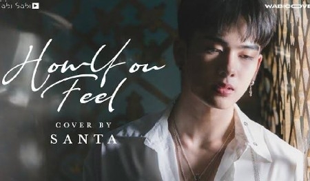 How You Feel [ Cover by SANTA ] thumbnail