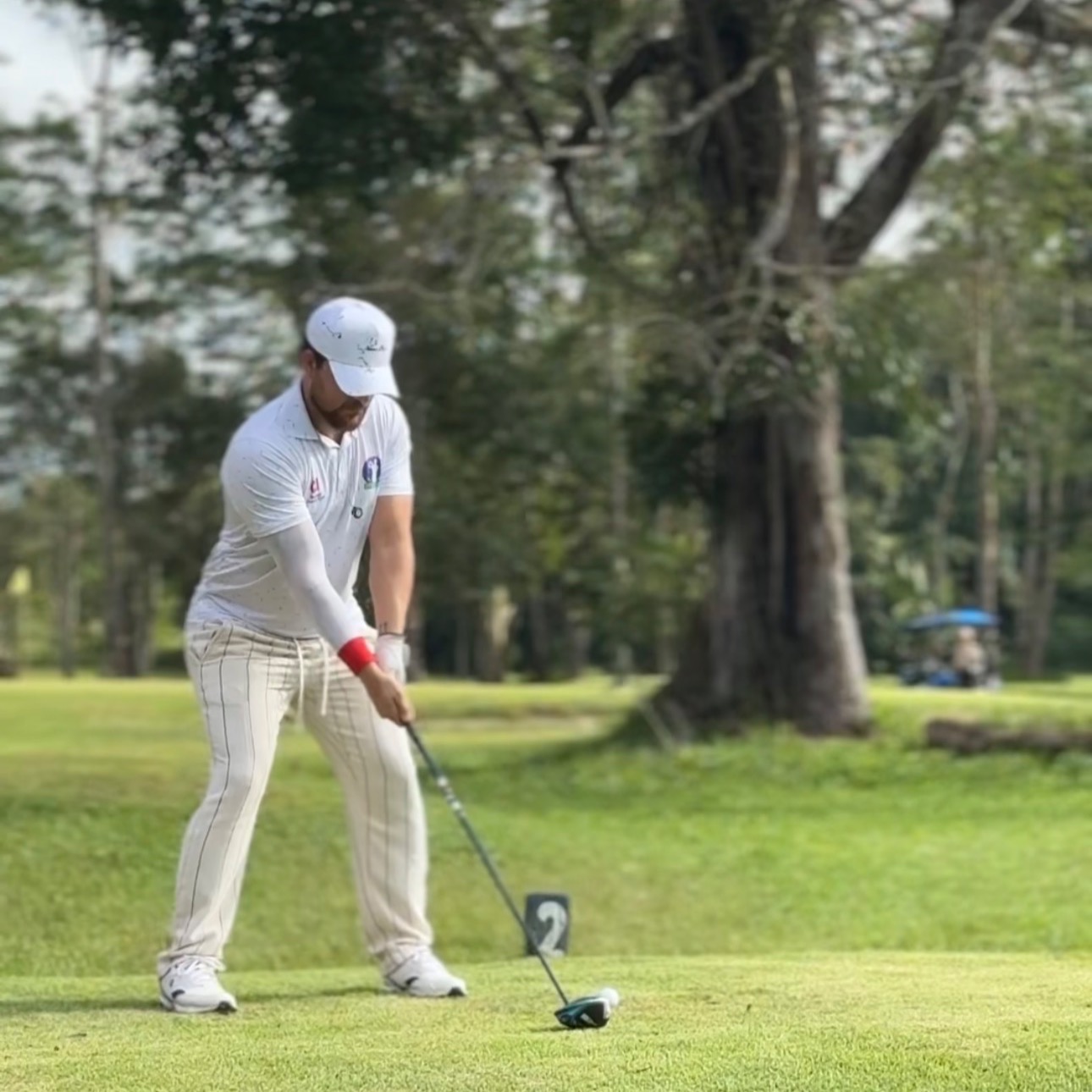 Leonardo Pinto thumbnail