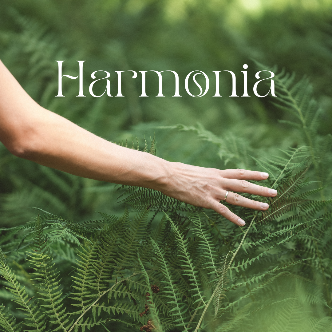 Harmonia -72% thumbnail