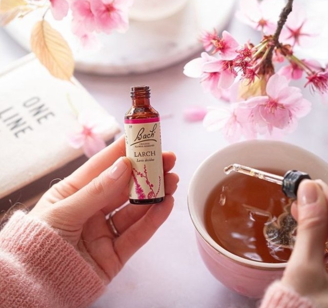 Σε ποια συναισθήματά μας βοηθάει η Ανθοθεραπεία; thumbnail