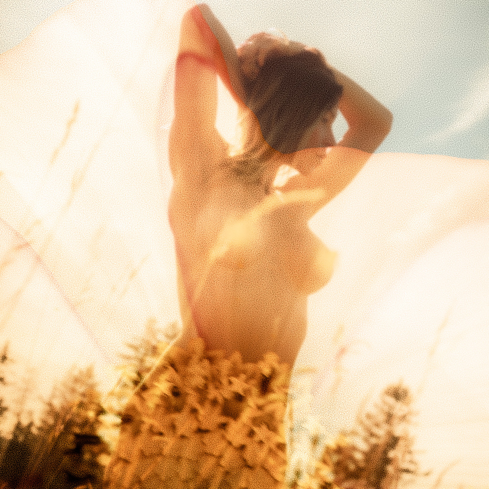 NFT COLLECTIBLES thumbnail